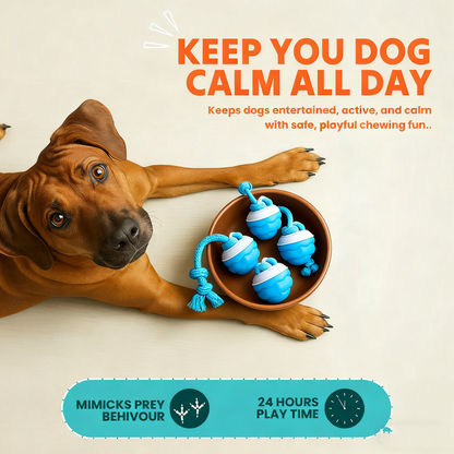 🔥LAST DAY SALE-80% OFF🔥-The Chase Buddy Dog Boredom Stimulating Toy