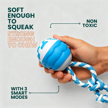 🔥LAST DAY SALE-80% OFF🔥-The Chase Buddy Dog Boredom Stimulating Toy