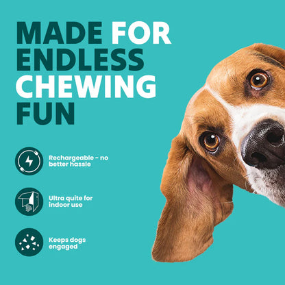 🔥LAST DAY SALE-80% OFF🔥-The Chase Buddy Dog Boredom Stimulating Toy